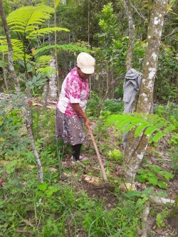 ANR GENgiBRe - Rapport à la nature et égalité de genre. Une contribution à la théorie critique à partir de pratiques et mobilisations féministes dans l'agroécologie au Brésil.