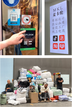 A comparative study of the Organization of Transnational Platform Economy and its Impact on the Society in France and China // Comprendre et cartographier la structure organisationnelle de l'économie de plateforme transnationale entre la France et la Chine